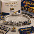 WCE Silver Charm Bracelet Set PNPA